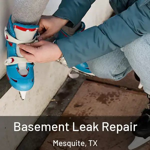  Basement Leak Repair Mesquite, TX