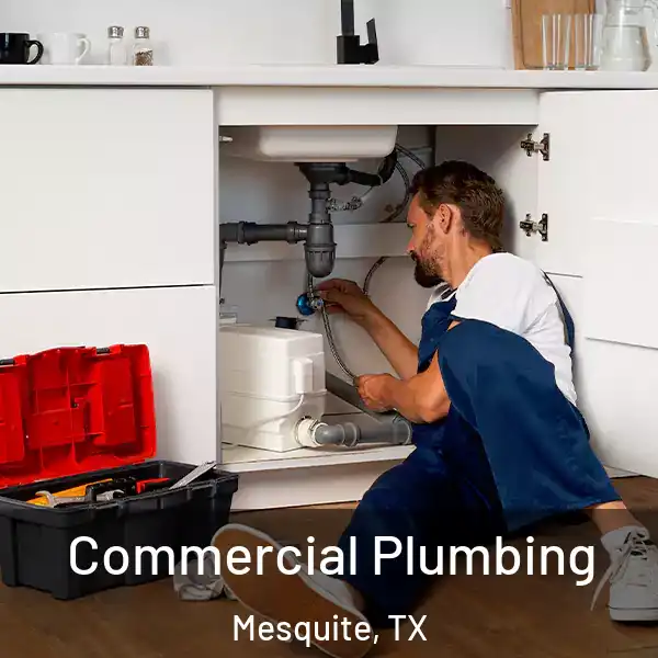  Commercial Plumbing Mesquite, TX