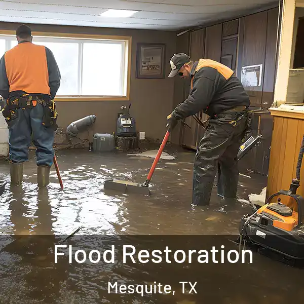  Flood Restoration Mesquite, TX