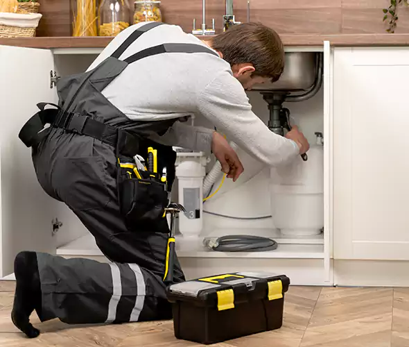 Certified Plumbers for Insinkerator Installation in Mesquite