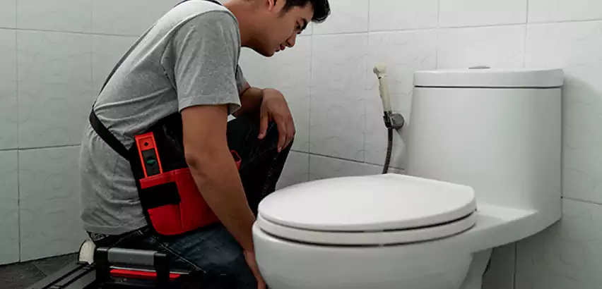Toilet Repair in Mesquite