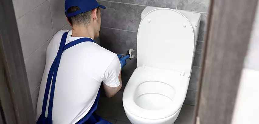 Toilet Lid Replacement in Mesquite