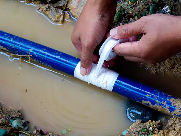  Why Choose Mesquite Plumbing Pro for Leak Detection in Mesquite, TX?]