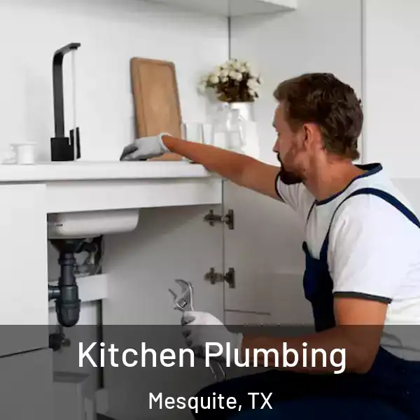  Kitchen Plumbing Mesquite, TX