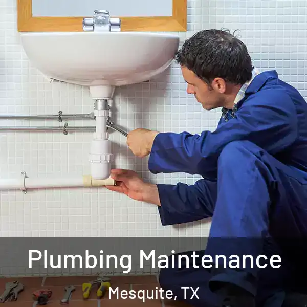  Plumbing Maintenance Mesquite, TX