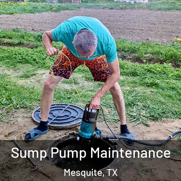  Sump Pump Maintenance Mesquite, TX