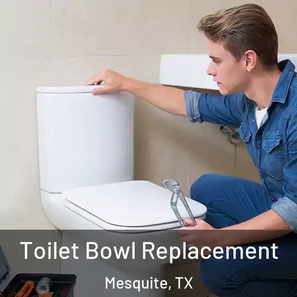  Toilet Bowl Replacement Mesquite, TX