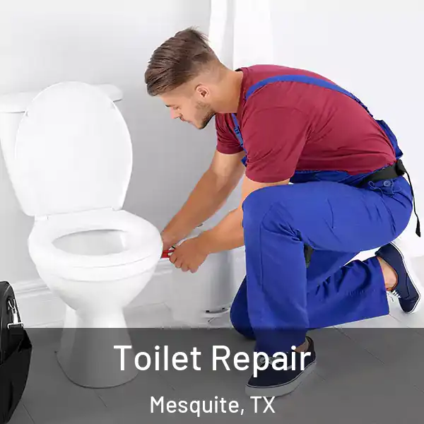  Toilet Repair Mesquite, TX