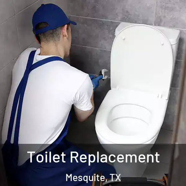  Toilet Replacement Mesquite, TX