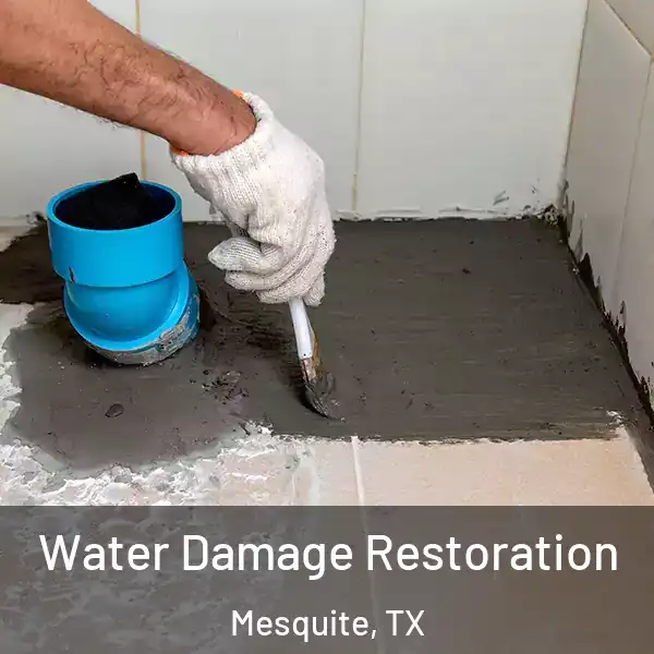  Water Damage Restoration Mesquite, TX