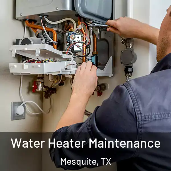  Water Heater Maintenance Mesquite, TX