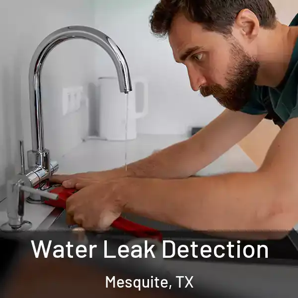 Water Leak Detection Mesquite, TX