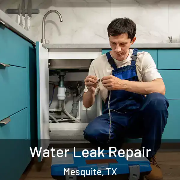  Water Leak Repair Mesquite, TX
